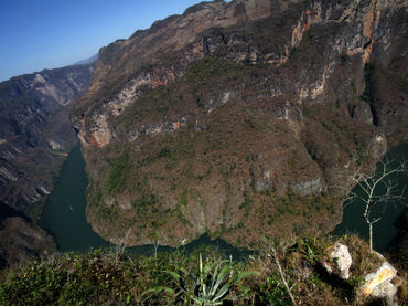 Áreas protegidas de México ocupan décima parte del territorio