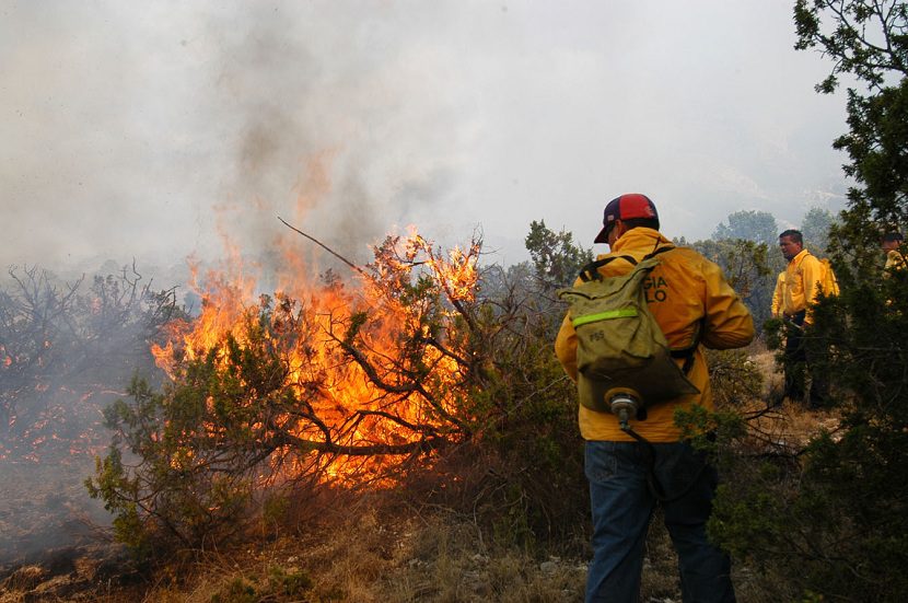 Casi un millar de brigadistas combatirán incendios forestales esta temporada