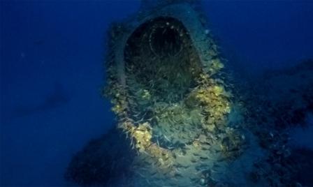 Hallan posible submarino de la II Guerra Mundial con 71 cuerpos en su interior