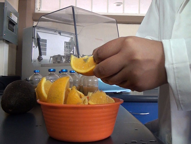 Investigadores utilizan desechos de naranja para producir gas