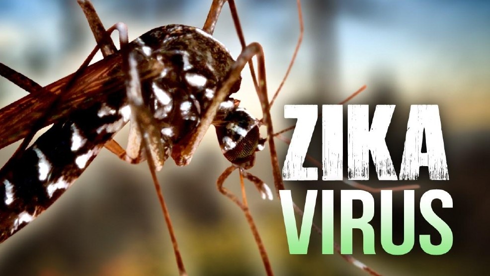 Primer caso de Zika en Puerto Vallarta