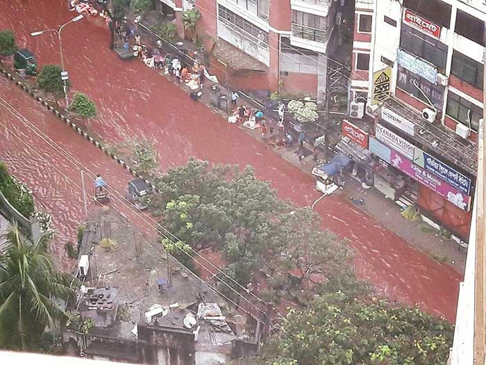 Ríos de sangre en Bangladesh por festival de sacrificios de animales
