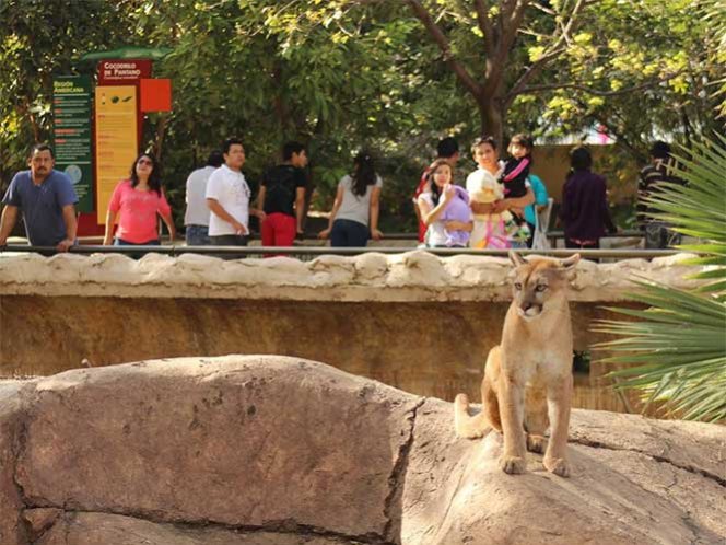 Zoológico Tamatán en Tamaulipas es una experiencia única