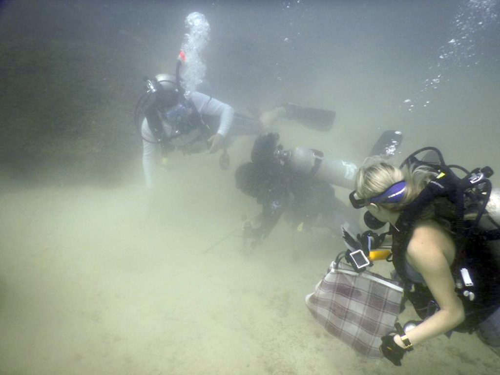 Dan ejemplo en Guayabitos y limpian fondo marino de Isla del Coral y playa del destino