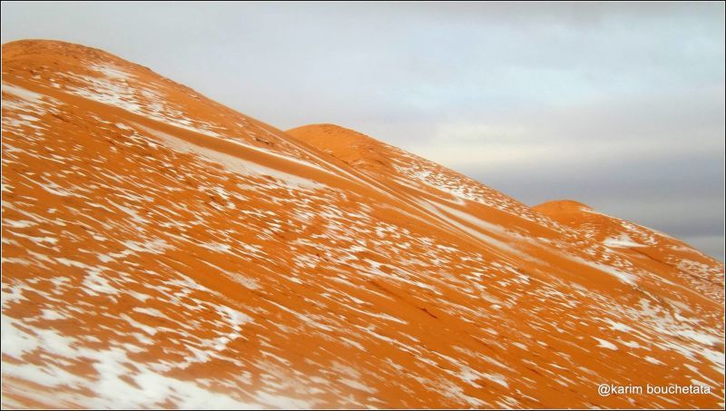 Insólito, cayó nieve en el desierto del Sahara