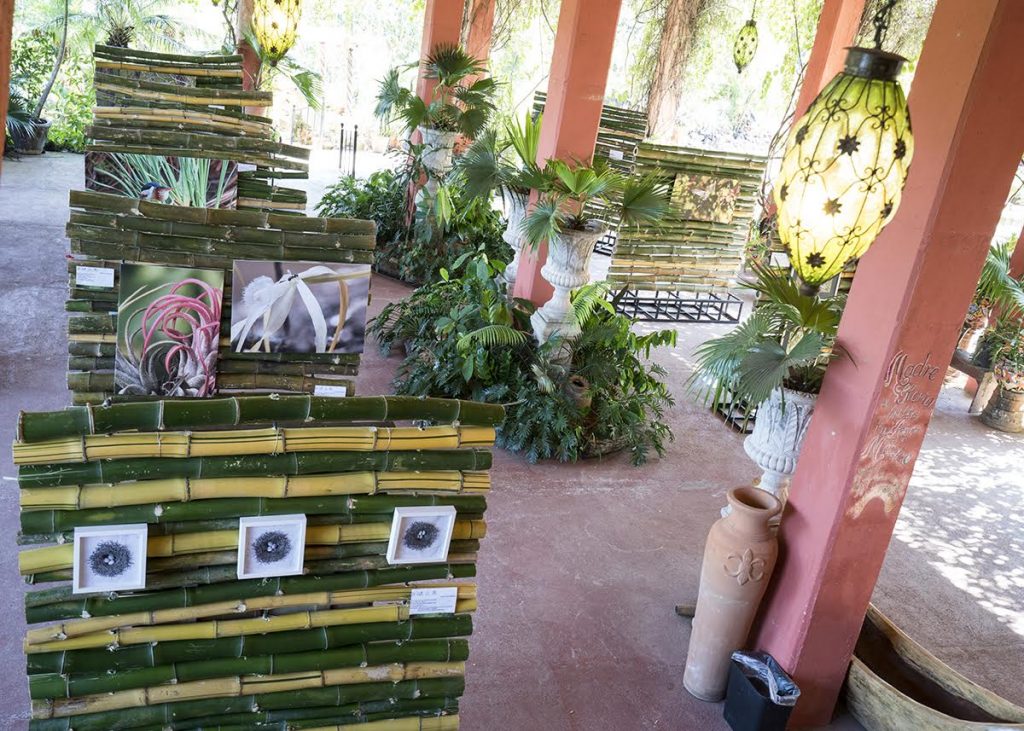 Entusiasta recepción de exhibición de arte en el Jardín Botánico de Vallarta