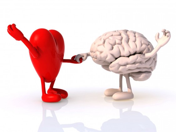 Quien se enamora es el cerebro no el corazón: científico mexicano
