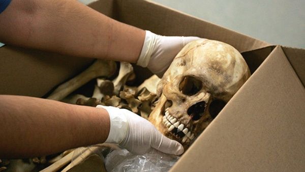 Descubren 250 cráneos humanos en Veracruz