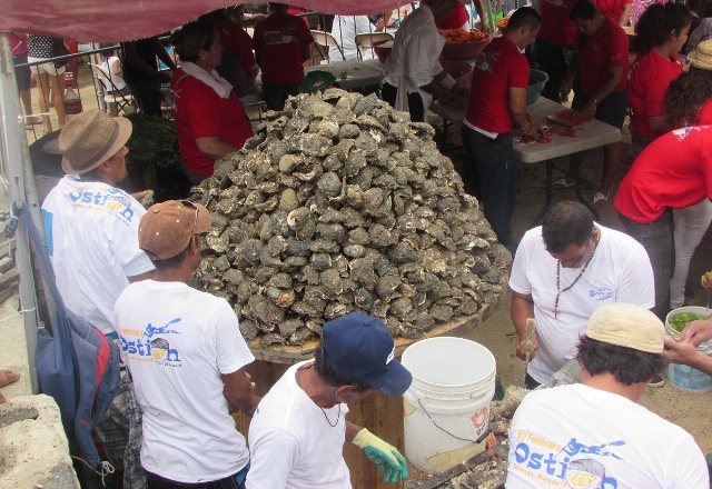 Almeja, callo y ostiones de Puerto Vallarta, productos contaminados: Coprisjal