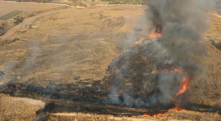 Perjudica incendio de La Primavera a 800 hectáreas