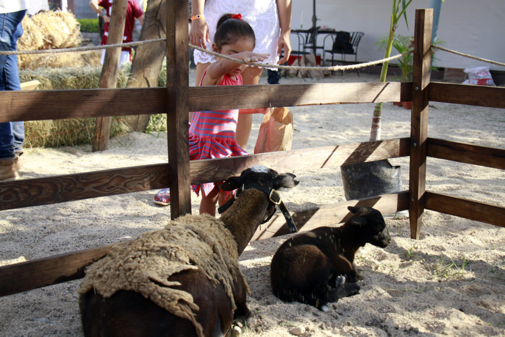 Cientos de niños felices con Expo Kids en Jardín de Luna