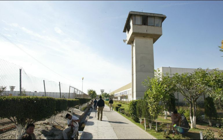 Más de la mitad de detenidos por robo en Jalisco son reincidentes