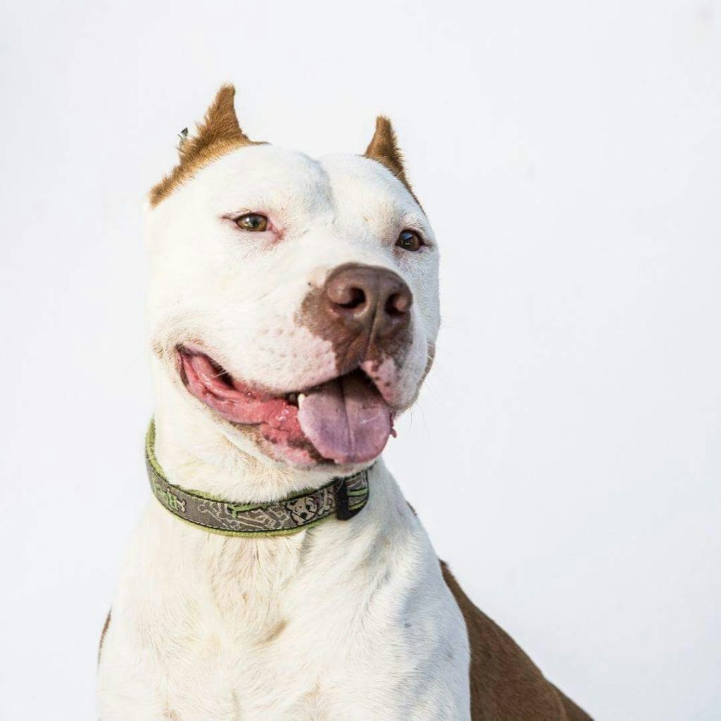 El Rincón del Hueso… y el Atún