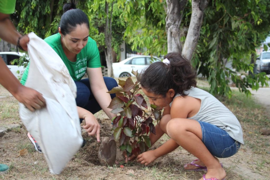 Teresita Marmolejo y niños de PV,  sembraron árboles en diferentes colonias