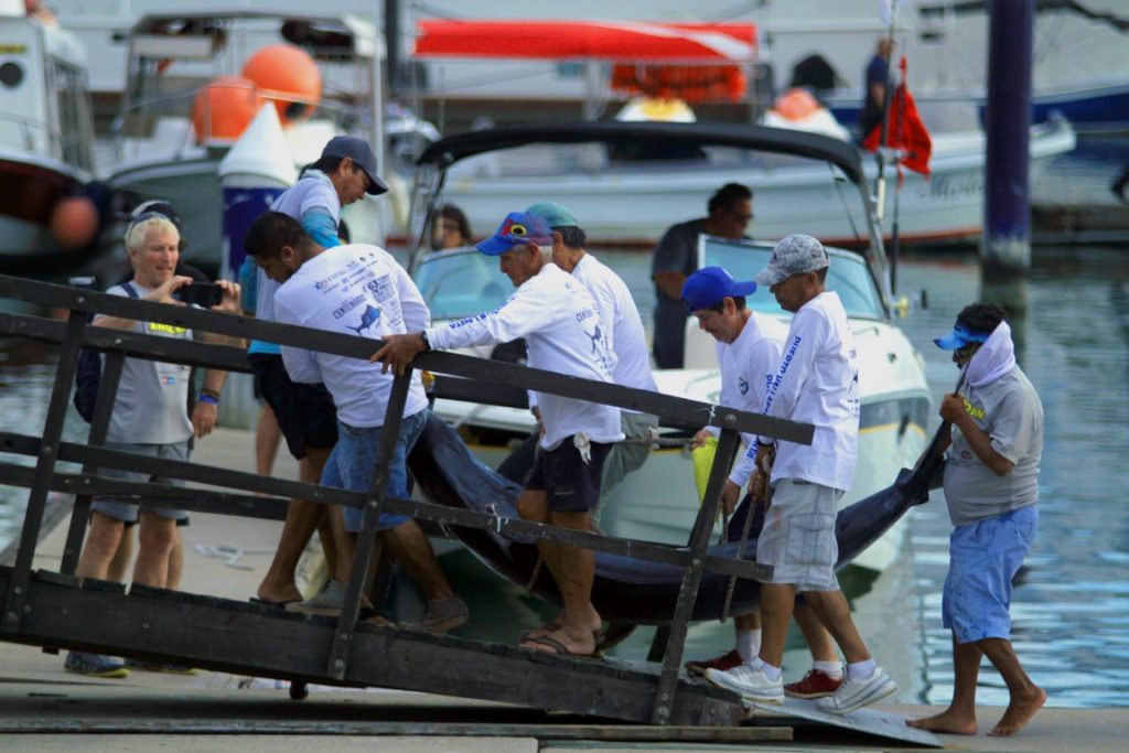 Cierre dramático en el Torneo Internacional de Pesca de Marlin y Pez Vela