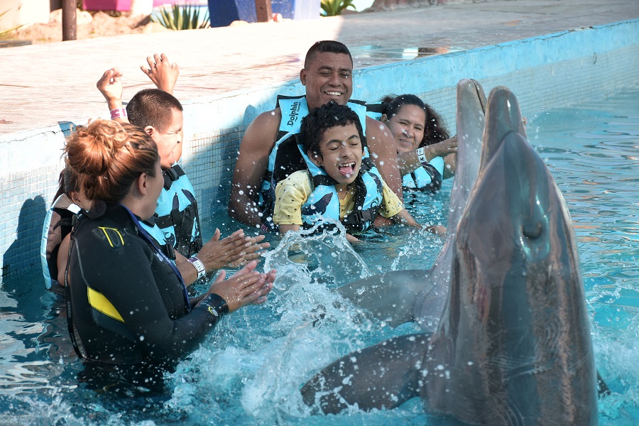 Personas con discapacidad reciben terapia con delfines