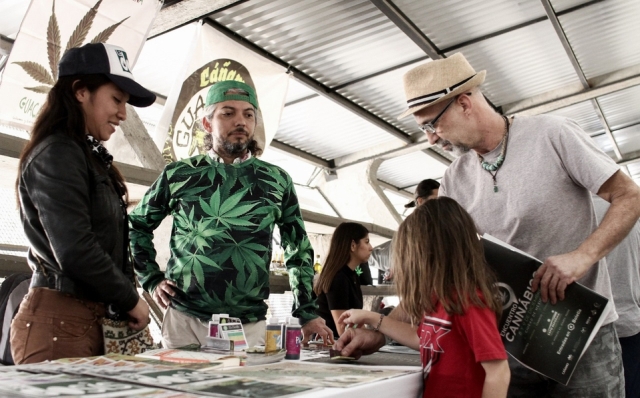 Concientizan sobre el uso de cannabis en Guadalajara