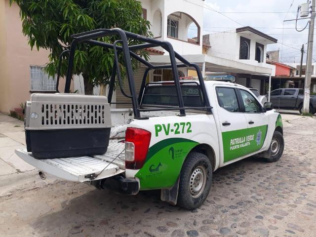 La Patrulla Verde cumplió tres años de intensa actividad