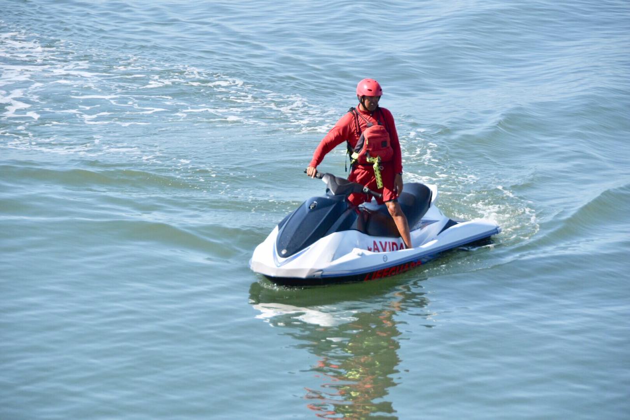 Activan protocolo de seguridad por avistamiento de cocodrilo en playas de Vallarta