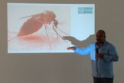 Sube a 11 los casos de Dengue en Vallarta