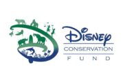 El fondo de la conservación de Disney abre la convocatoria al programa de becas: 