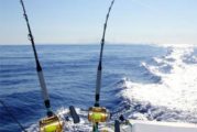 Todo listo para el 64 Torneo Internacional de Pesca Marlín y Pez Vela
