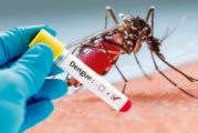 Jalisco registra 105 casos de dengue en una semana