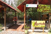 Por COVID-19, se restringe acceso a las Áreas Naturales Protegidas de Jalisco, entre ellas el estero El Salado