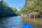 Celebra el estero El Salado su 25 aniversario