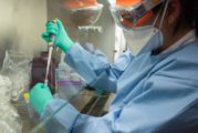 Nueva Zelanda suma 13 días sin contagios de coronavirus