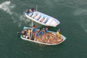 Defensa de la vaquita marina: Se registra nuevo ataque a embarcación de activistas