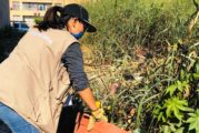 Refuerza Gobierno de Jalisco acciones para combatir el dengue