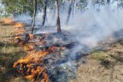 Semadet reitera el llamado a hacer un uso responsable del fuego en zonas agropecuarias