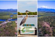 Observa aves desde Riviera Nayarit en el Global Bird Weekend 2020