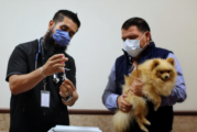 Arranca en Jalisco campaña de vacunación antirrábica canina y felina 2020