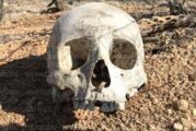 Hallan tres “lotes” de restos óseos en campo de entrenamiento de Tepa