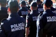 Detiene policía a 9 por viciosos, agresivos y violentos en Vallarta