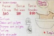 ‘Se bañan perritos con cariño’, niño que quiere ser veterinario inicia negocio para ahorrar