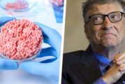 Bill Gates: las hamburguesas de laboratorio salvarán el mundo