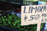 Aumenta 5.5% precio de canasta básica en CdMx, Guadalajara y Monterrey: GCMA