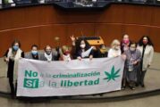 Diputados aprueban en lo general uso lúdico de mariguana