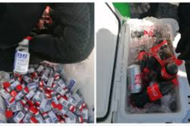 SAT decomisa 1,155 frascos de 'Sputnik V' que iban de contrabando a Honduras (ocultas entre Coca Colas)