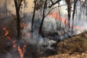 Activan alerta atmosférica en Ameca y Tala por incendio en La Primavera