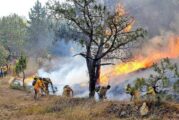 Gobernador señala que incendios provocados buscan desestabilizar a Jalisco
