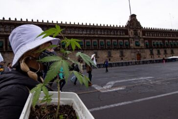 ¿Podría la SCJN legalizar la marihuana hoy? Ministros inician discusión