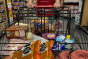 Ni desaparición del Osito Bimbo, ni nuevo etiquetado cambiaron los hábitos de consumo de los mexicanos
