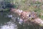 Cocodrilo ataca a mujer indigente, a la orilla del río en Tampico