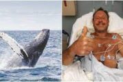 Una ballena se “traga” a un pescador frente a Massachusetts, EU; lo escupe vivo