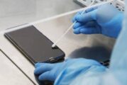 Diseñan prueba PCR para detectar el COVID-19 con el celular