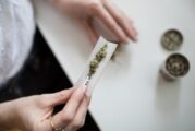 SCJN permite consumo lúdico de mariguana sólo a mayores de edad